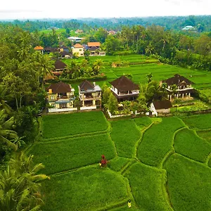 Bhuana Shanti 3*, Ubud Indonesien