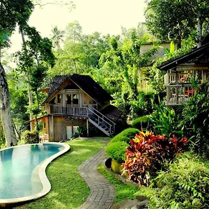 https://prashanti-bali.ubudhotelsnow.com